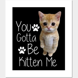 You Gotta Be Kitten Me Funny Cat Posters and Art